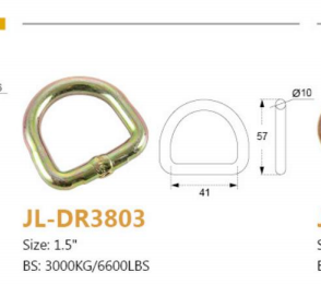 Heavy-Duty 38 mm Cam Buckle Strap (1,5 m) mit D-Rings – 650 kg Bruchlast, REACH SVHC konform, Schwarz